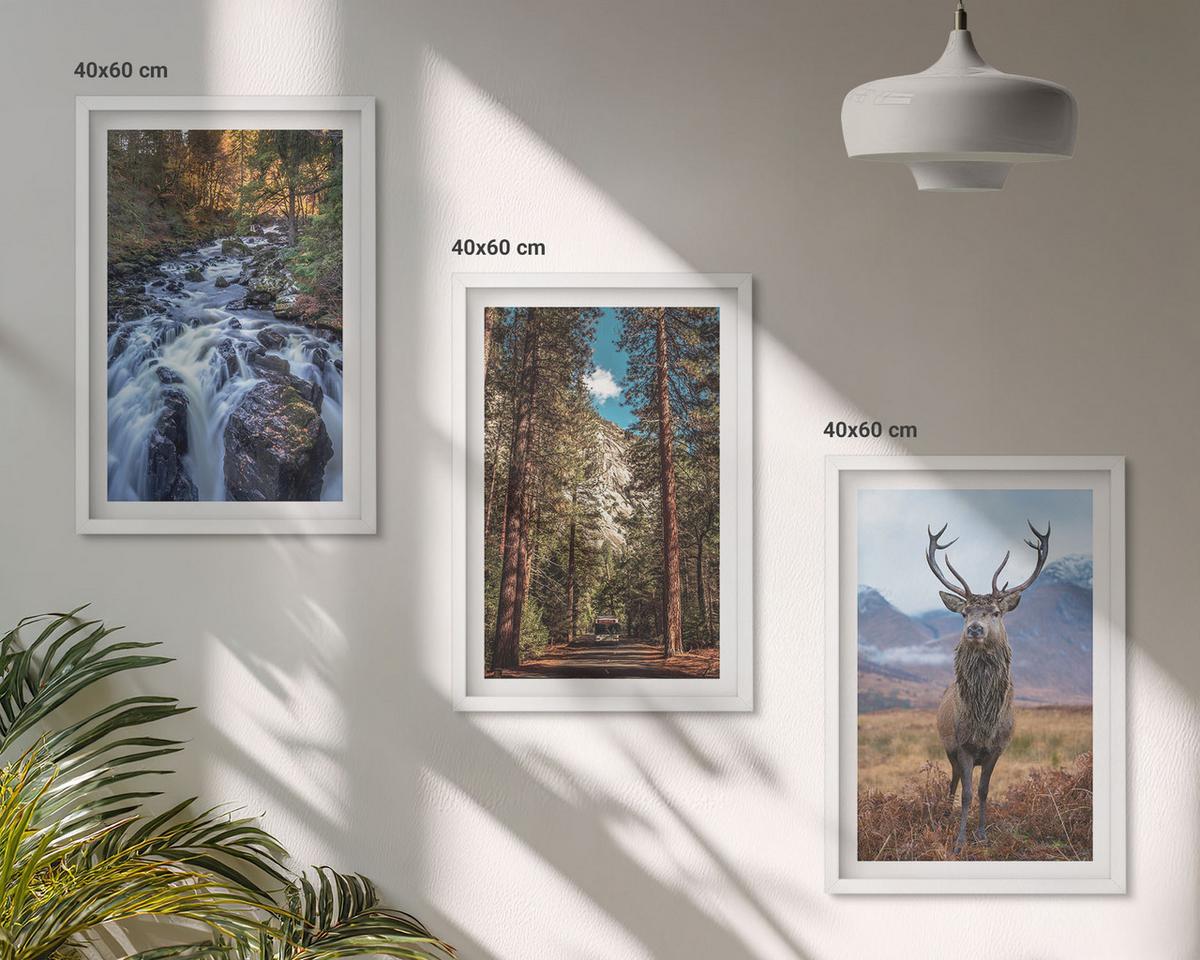 BILDER SET 3er Set - 40x60 cm Weißer Rahmen - Wasserfall Wald Berge Hirsch Natur - Weiß, Kunststoff (40/60cm) - TULUP