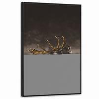 LEINWAND Bilder mit Rahmen - Rotwild - Schwarz - Gold - 90x140 - Braun, Textil (90/140cm) - MuchoWow
