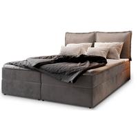 BOXBETT LENTE 140x200 cm mit Matratze und Topper - Grau - Grau, Holz (140/200cm) - MASSENO