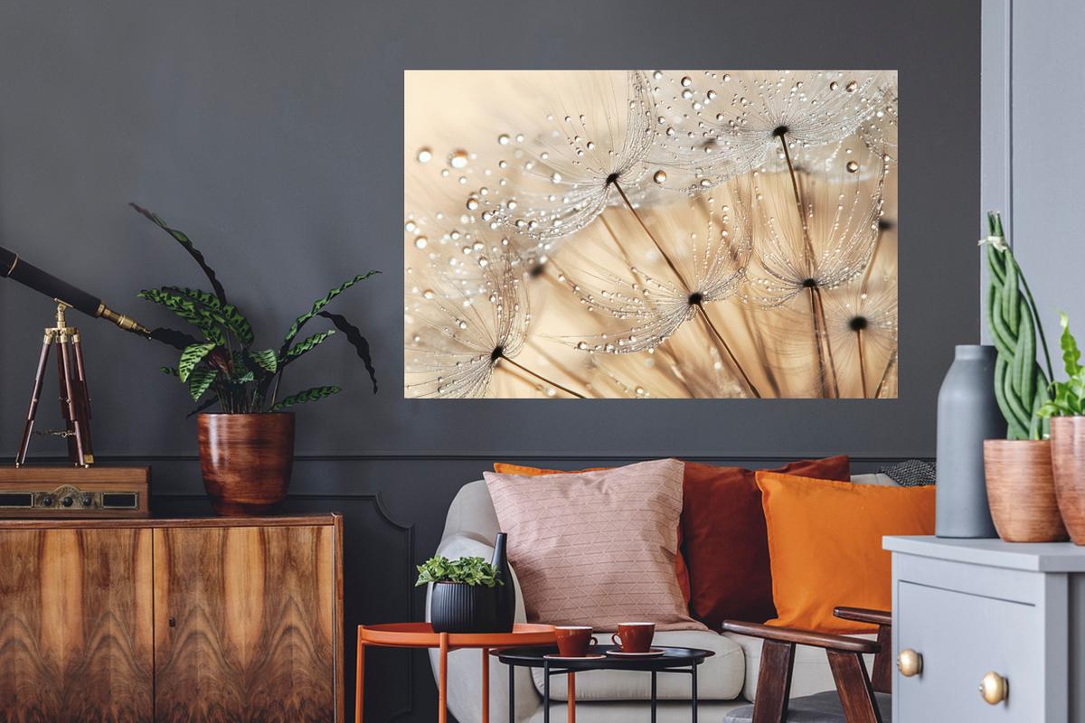 WANDTATTOO Löwenzahn - Abstrakt - Natur - Beige Wandsticker 120x80 cm - Braun, Kunststoff (120/80/0.1cm) - MuchoWow