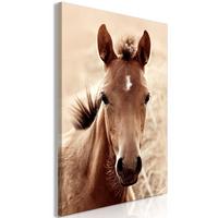 KUNSTDRUCK Braun 60/90 cm - Braun, Textil (60/90cm) - KUNSTLOFT