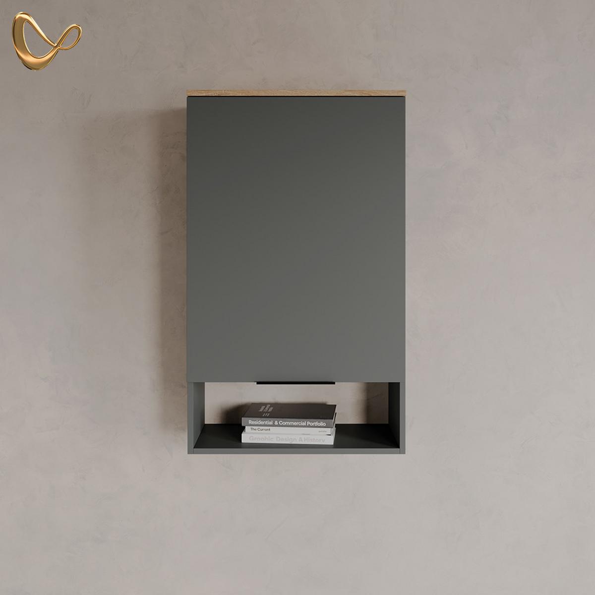 HÄNGESCHRANK Piave Anthrazit 60 x 100 cm mit Tür - Anthrazit, Holzwerkstoff (60/100/30cm) - Livinity®
