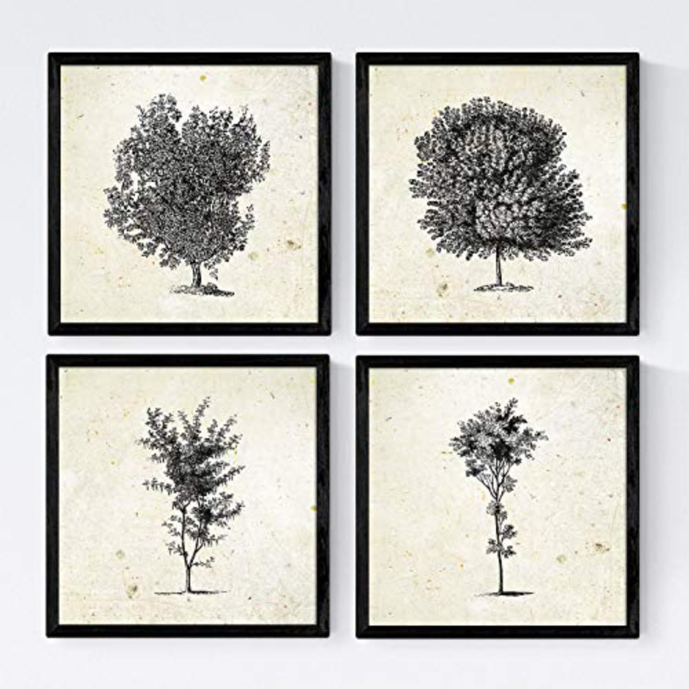 POSTER Set mit 4 Blättern der Baumstämme Jahrgang Hintergrund 30x30 cm Rahmenlos - Klar, Papier (30/3cm) - Nacnic