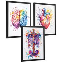 POSTER Set aus 3 Anatomie Mensch Drucke und Wandbilder mit Gehirn Herz Rippen Wirbelsäule Lebendiges Aquarell Design Größe Schwarzer Rahmen A4 - Schwarz, Papier (21/29.7/3cm) - Nacnic