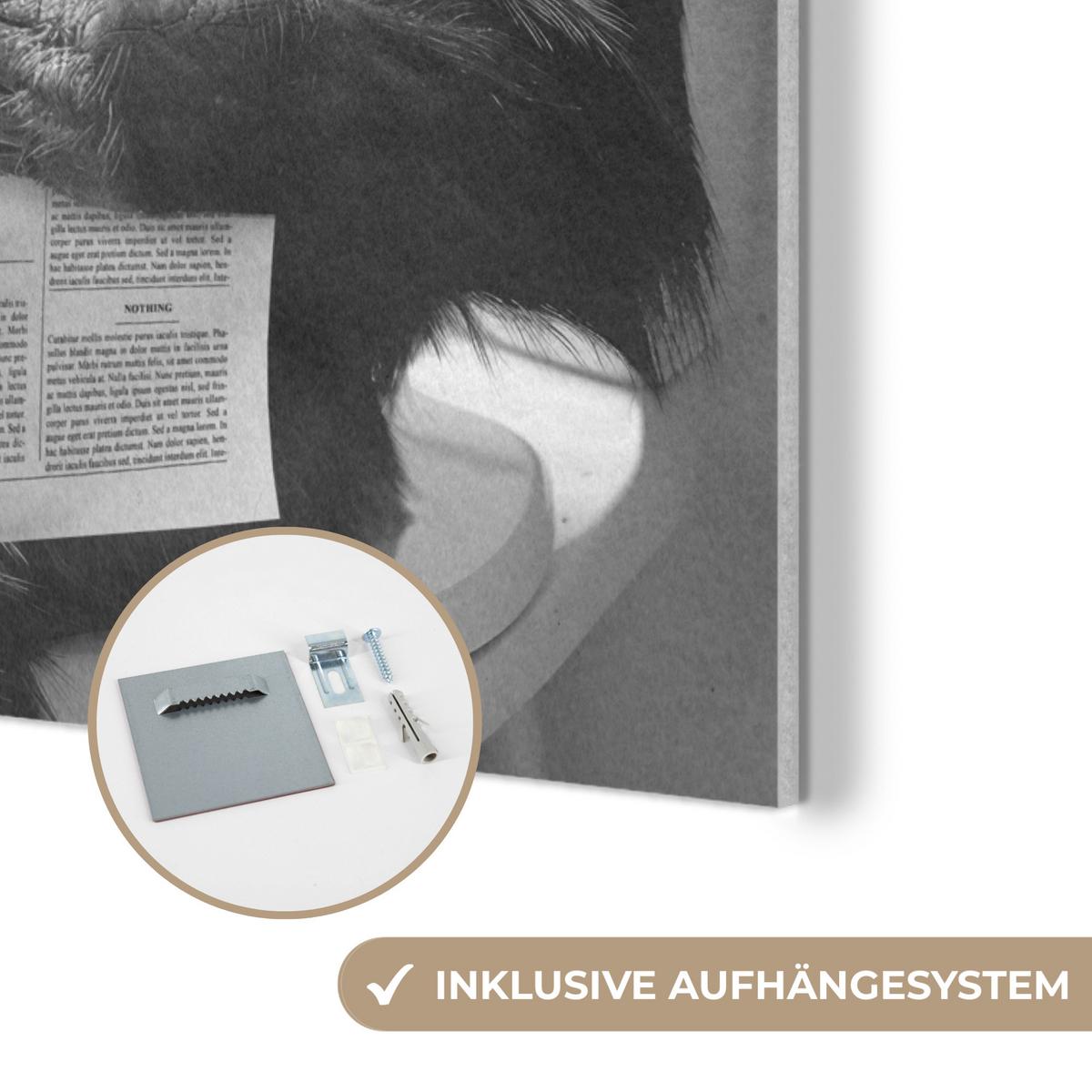 AKUSTIKBILD Affe - WC - Zeitung - Schwarz-Weiß - Humor Wandbilder 60x80 cm - Hellgrau, Kunststoff (60/80/0.9cm) - MuchoWow