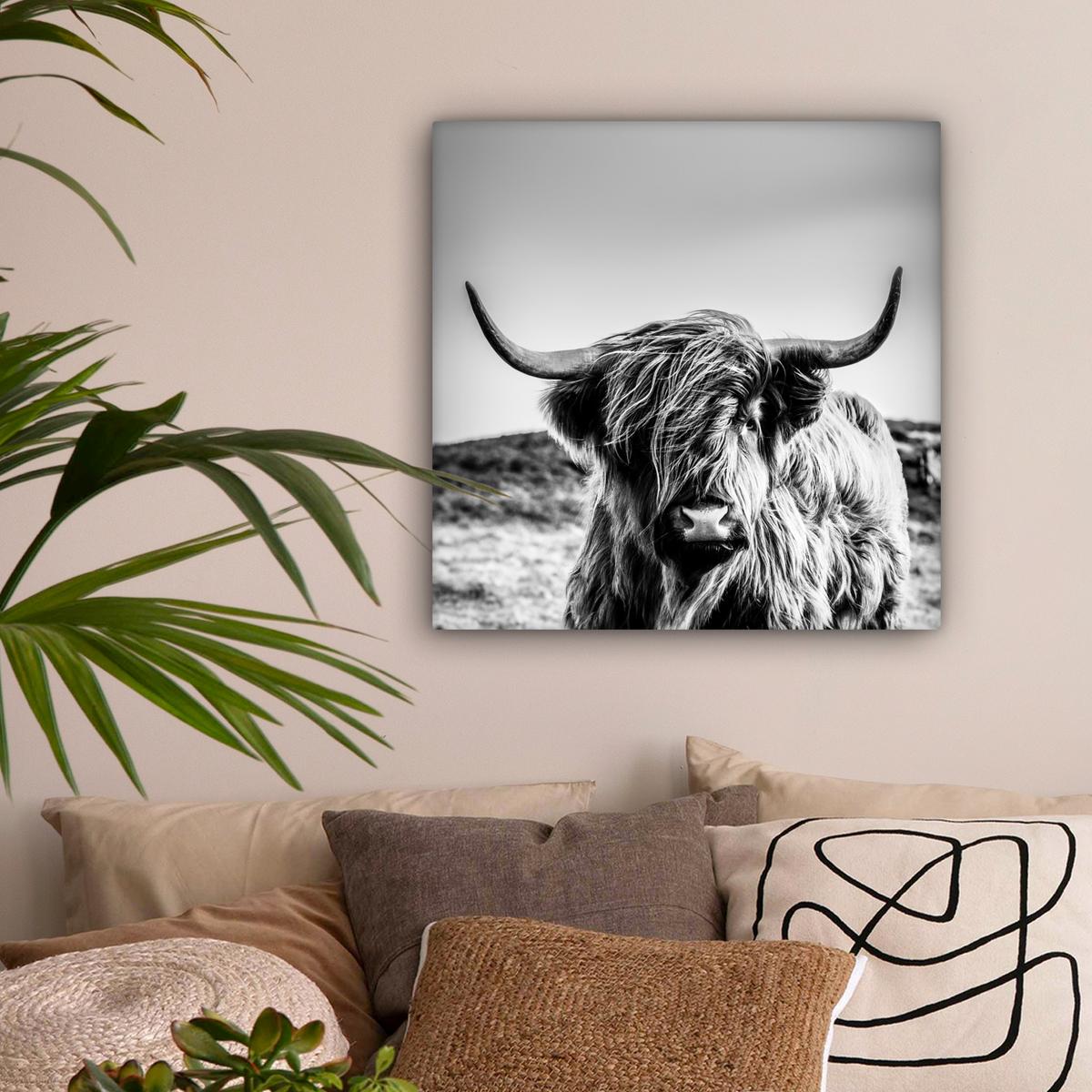 LEINWANDBILD Kuh - Schottischer Hochländer - Schwarz - Weiß - Tier - Natur - Wildtiere Wandbild Wohnzimmer 50x50 cm - Schwarz, Textil (50/50cm) - MuchoWow