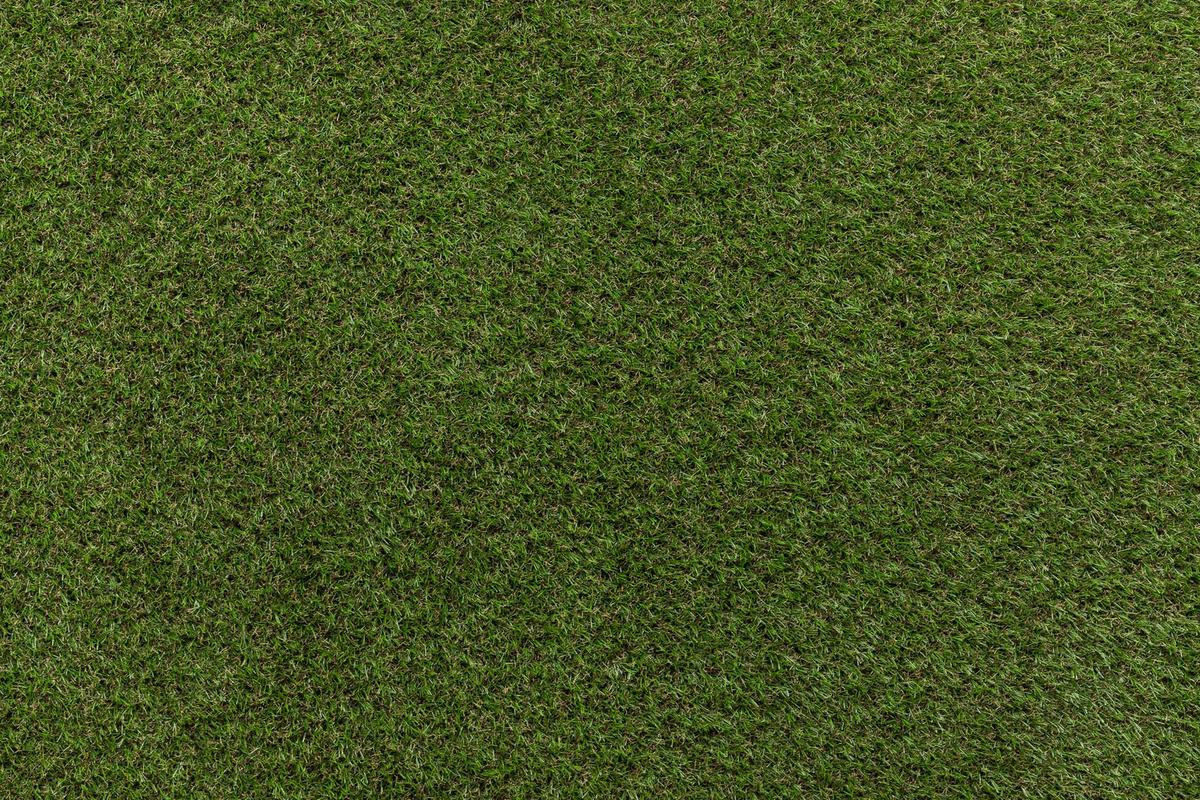 KUNSTRASEN HAVANA Fertigmaß 100/150 cm - Pastellgrün, Textil (100/150cm) - rugsX