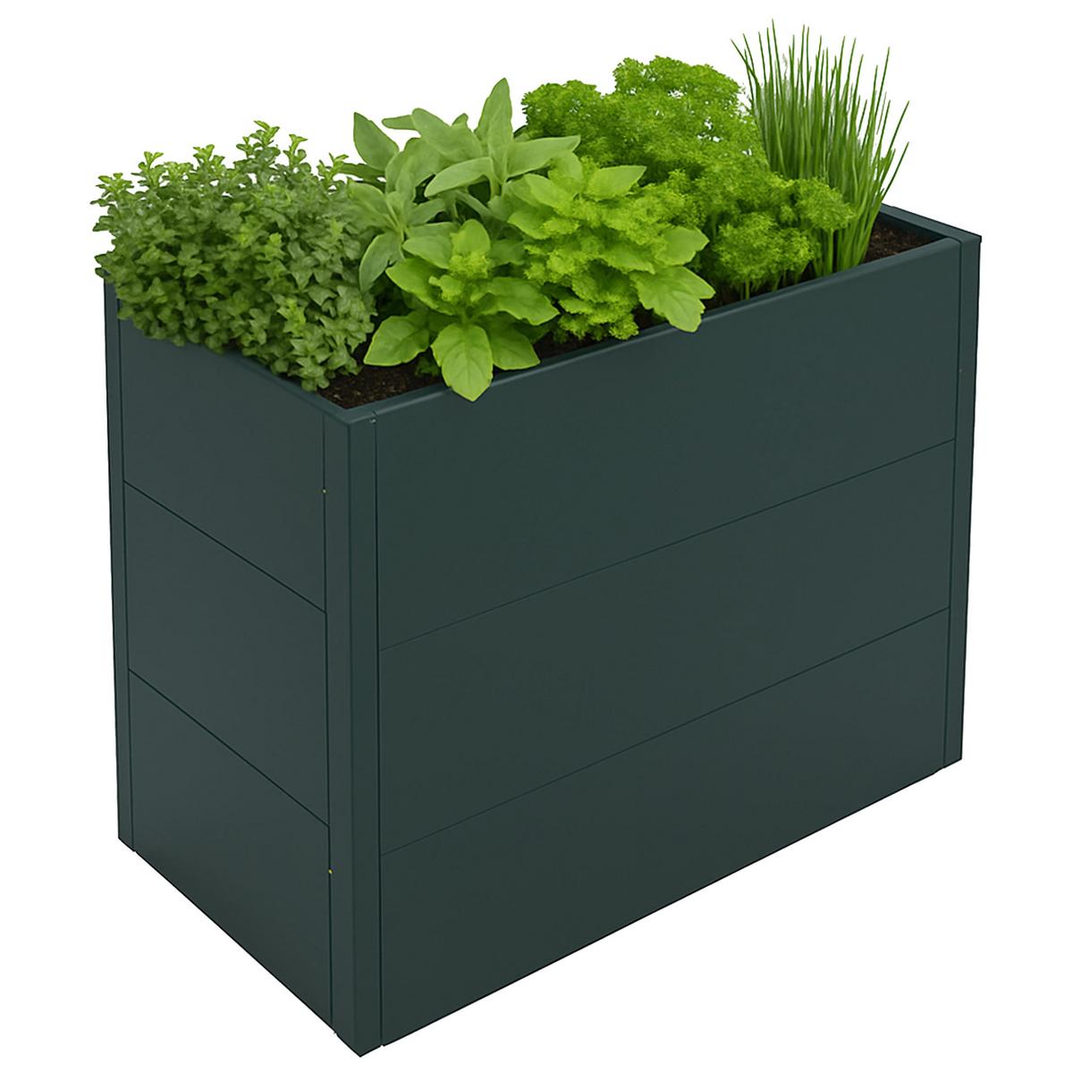 HOCHBEET Grün - Grün, Metall (100/77/50cm) - MCW