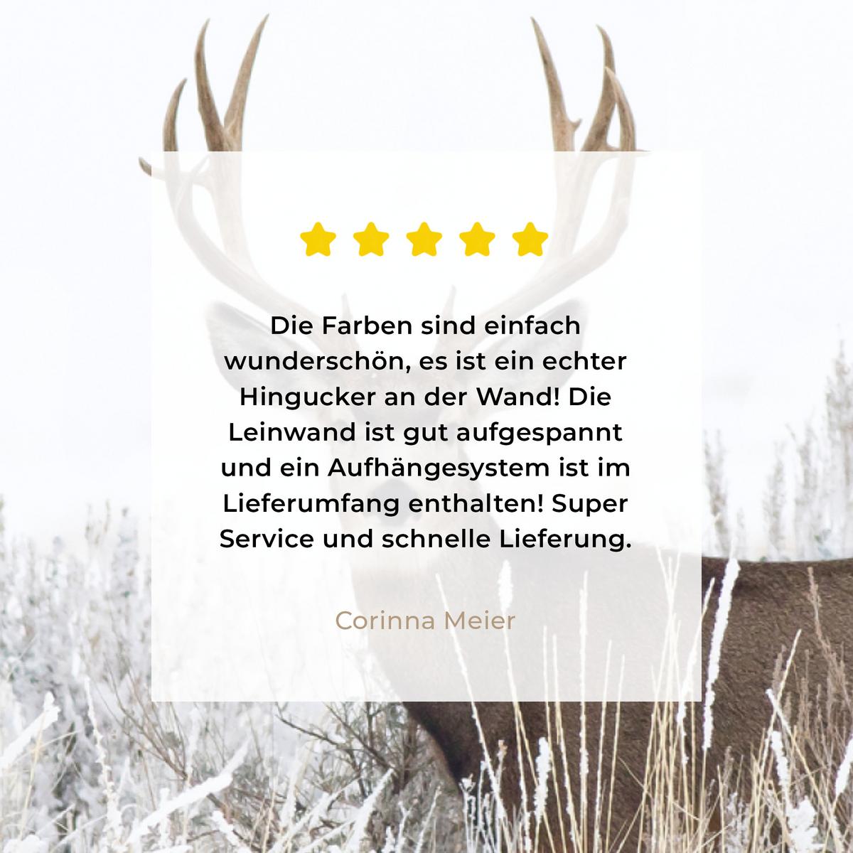 LEINWANDBILD Hirsche - Winter - Schnee - Tiere - Jahreszeiten - Weiß Wandbild 40x30 cm - Hellbraun, Textil (40/30cm) - MuchoWow