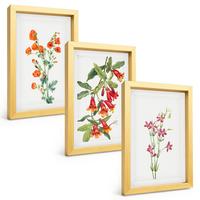 BILDER SET 3er Set - 20x30 cm Goldrahmen - Vintage-Retro-Blumenmalerei - Goldfarben, Kunststoff (20/30cm) - TULUP