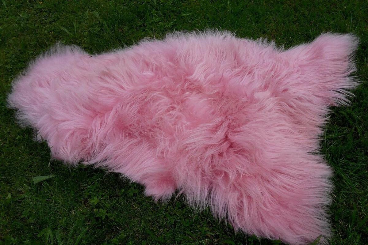 SCHAFFELL Island Rosa, Lange Zottelige Wolle, ca. 100 cm - Rosa, Fell (60/100cm) - Provellus