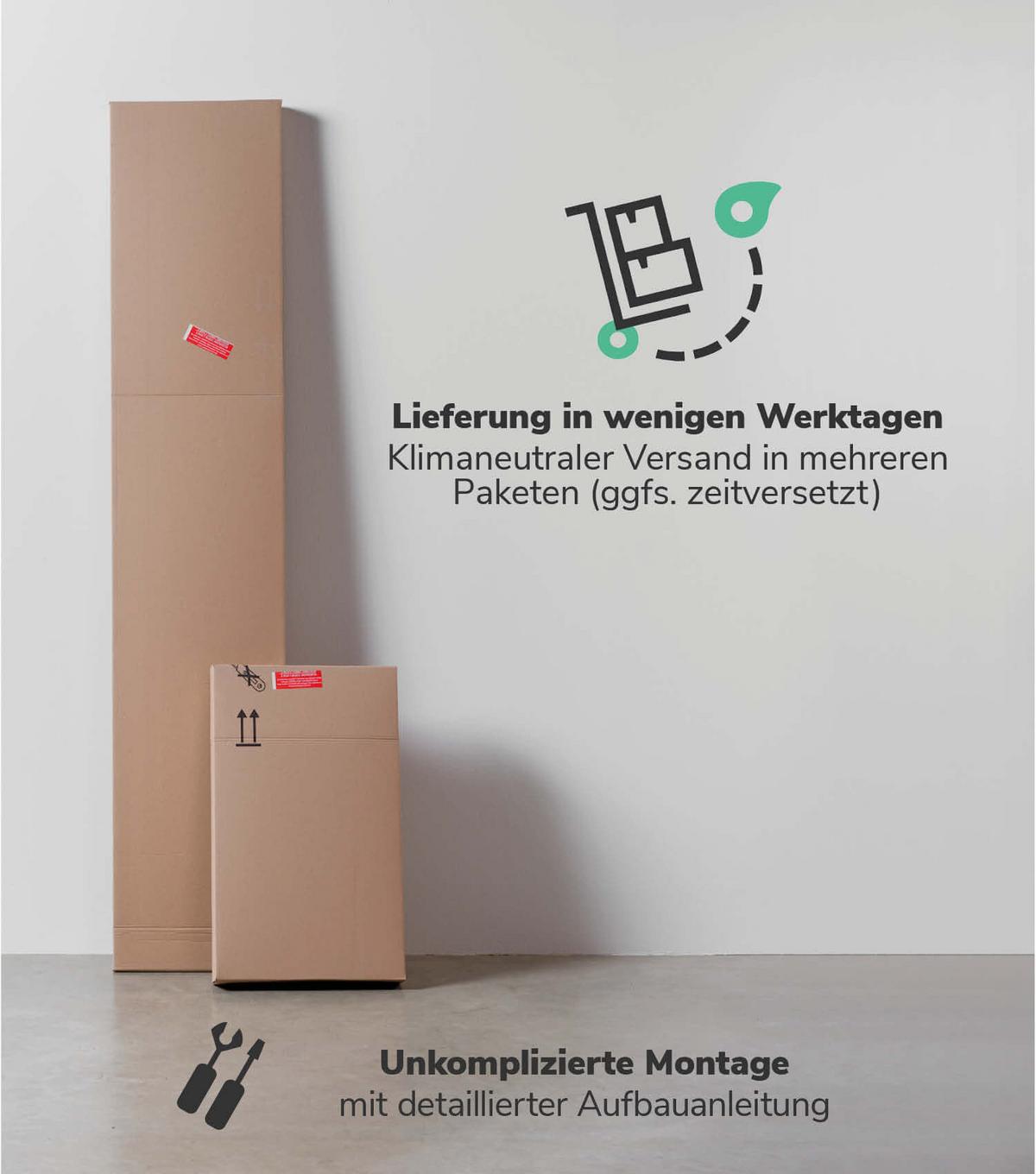 MEHRZWECKSCHRANK SET Der Allzweckwaffe - Anthrazit/Schwarz, Holzwerkstoff (60/180/34cm) - Mokebo
