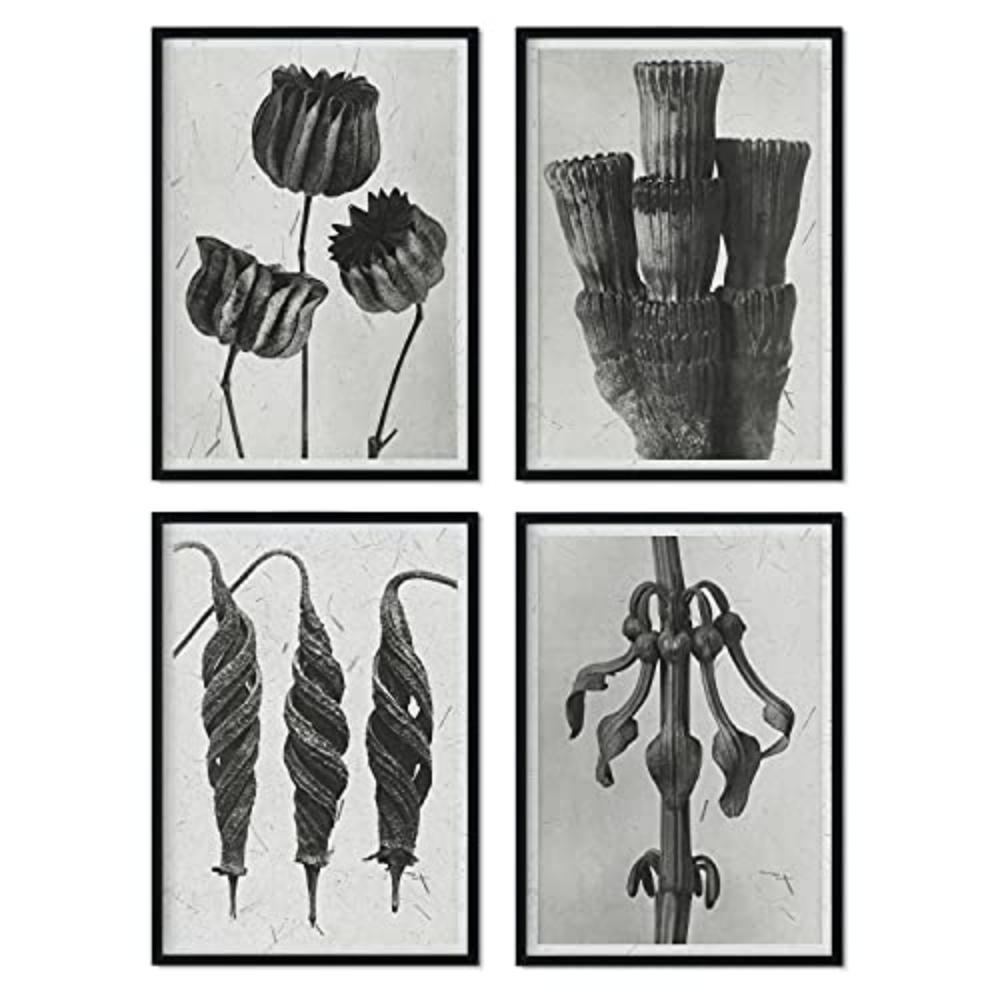 POSTER Set mit 4 exotischer Blätter Blumen und Pflanzen in Grausteinen A4 Schwarzer Rahmen - Schwarz, Papier (29.7/3cm) - Nacnic