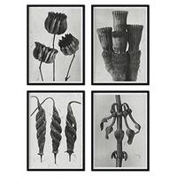 POSTER Set mit 4 exotischer Blätter Blumen und Pflanzen in Grausteinen A4 Schwarzer Rahmen - Schwarz, Papier (29.7/3cm) - Nacnic