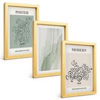 BILDER SET 3er Set - 20x30 cm Goldrahmen - Blumen in einer modernen Vase - Goldfarben, Kunststoff (20/30cm) - TULUP