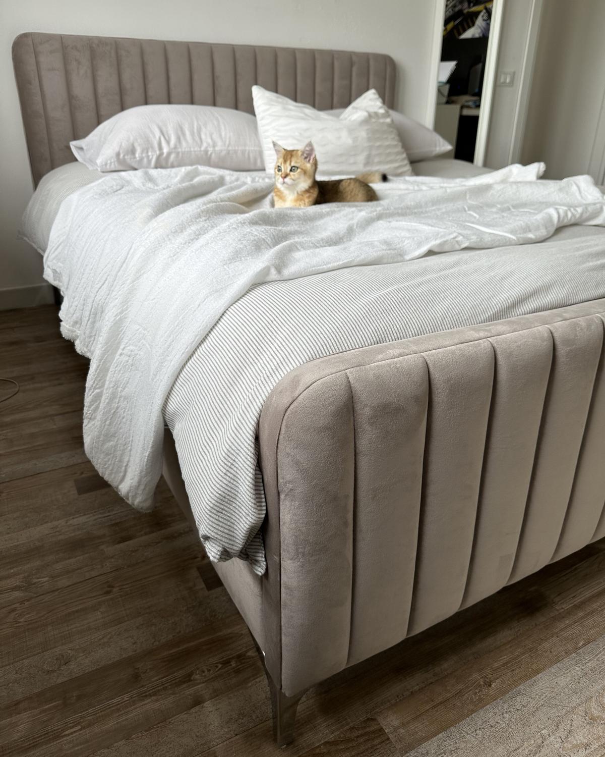POLSTERBETT 160/200cm Taupe Lunan - Taupe, Textil (160/200cm) - Beliani