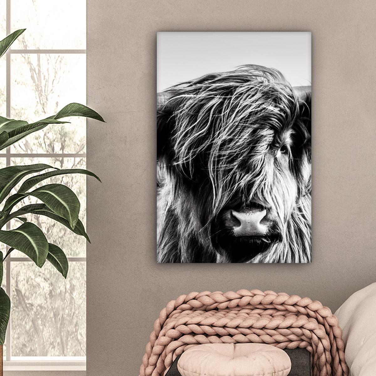 LEINWANDBILD Kuh - Schottischer Hochländer - Schwarz - Weiß - Tier - Natur - Wildtiere Wanddeko 40x60 cm - Schwarz, Textil (40/60cm) - MuchoWow