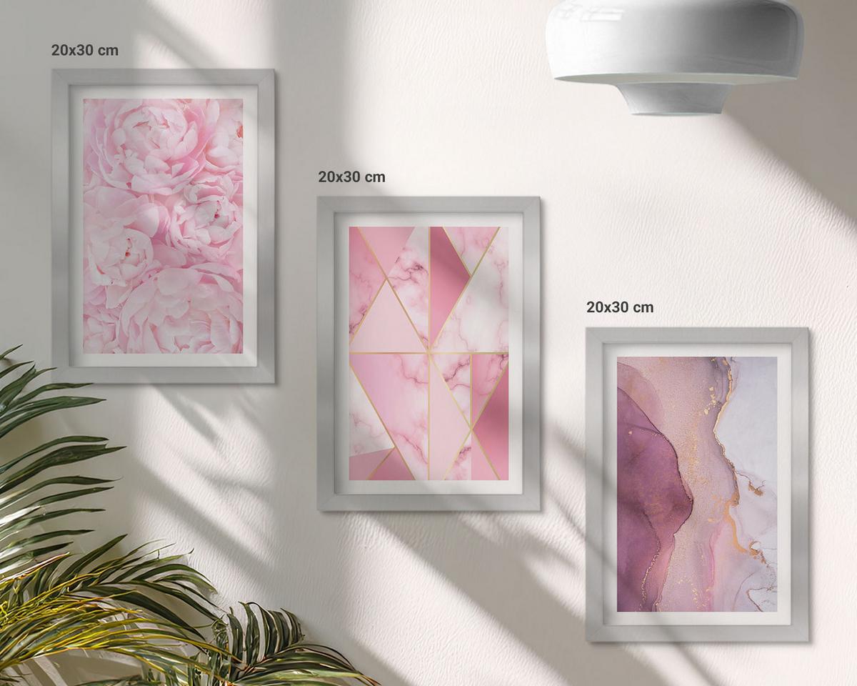 BILDER SET 3er Set - 20x30 cm Silberner Rahmen - Rosa geometrische Pfingstrosen - Silberfarben, Kunststoff (20/30cm) - TULUP