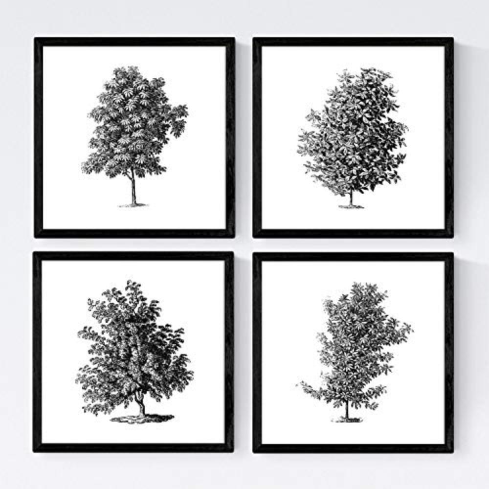 POSTER Set mit 4 Blättern der Baumzweige, weiß 30x30 cm Rahmenlos - Klar, Papier (30/3cm) - Nacnic