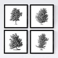 POSTER Set mit 4 Blättern der Baumzweige, weiß 30x30 cm Rahmenlos - Klar, Papier (30/3cm) - Nacnic
