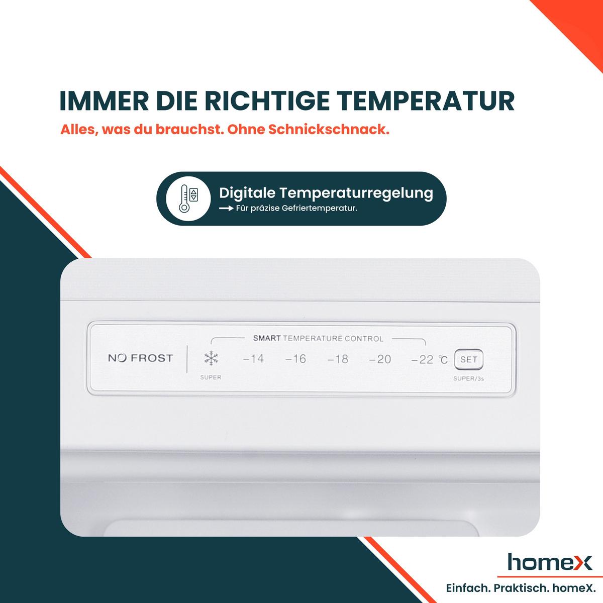 GEFRIERSCHRANK No Frost, groß - 204L Nutzinhalt, 4-Sterne Gefrieren, Super-Frost-Funktion, weiß - Weiß, Kunststoff/Metall (54/170.5/60cm) - homeX