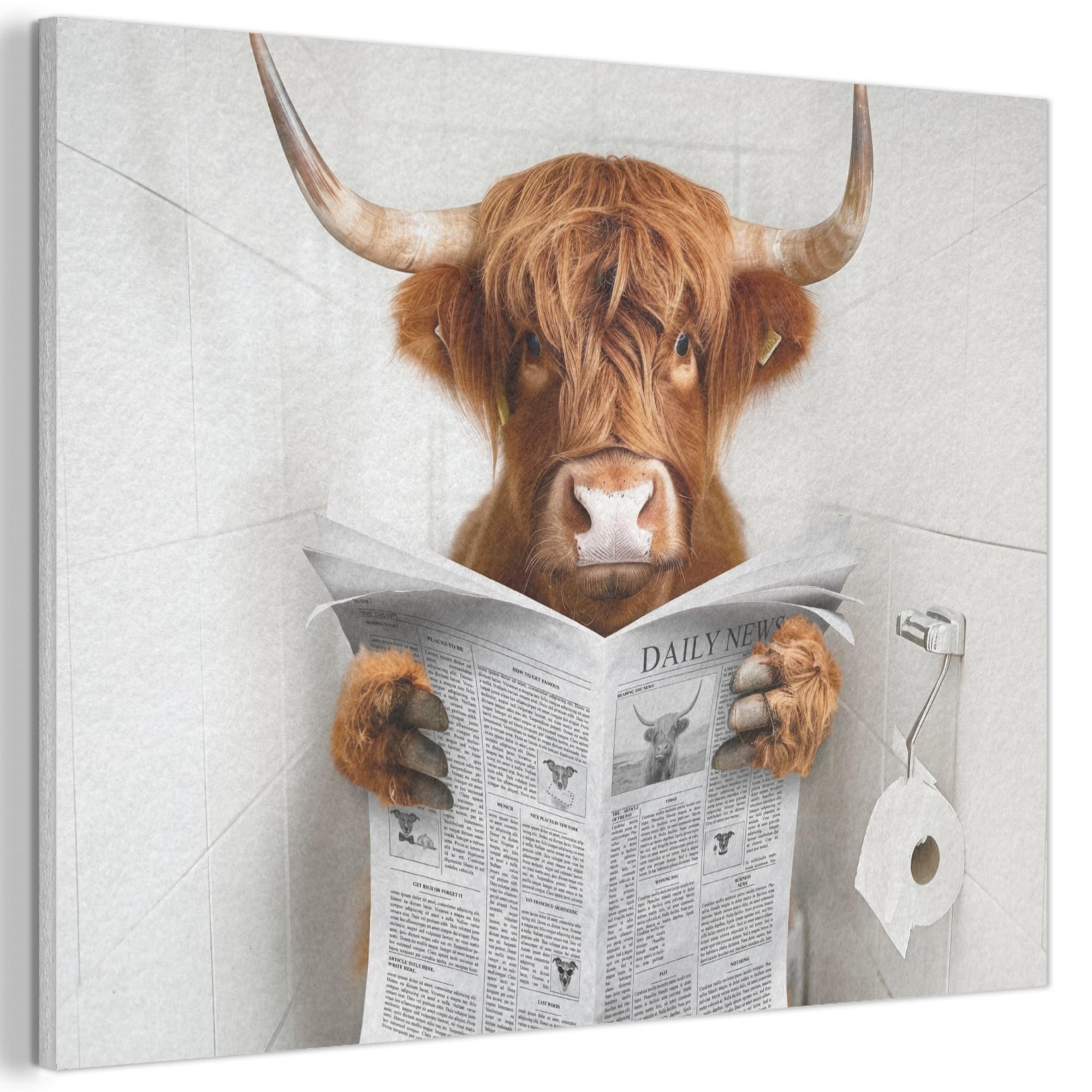 AKUSTIKBILD Schottischer Highlander - Tier - Zeitung - Toilette Gemälde 80x60 cm - Kastanienfarben, Kunststoff (80/60/0.9cm) - MuchoWow