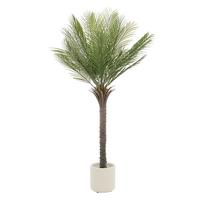 KUNSTPFLANZE Palme - Anthrazit/Grün, Holz/Kunststoff (150cm) - ML-DESIGN