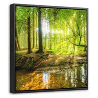 LEINWAND Bilder mit Rahmen - Wald - Landschaft - Wasser - Bäume - Sonne - Grün - Natur - 20x20 - Grün, Textil (20/20cm) - MuchoWow