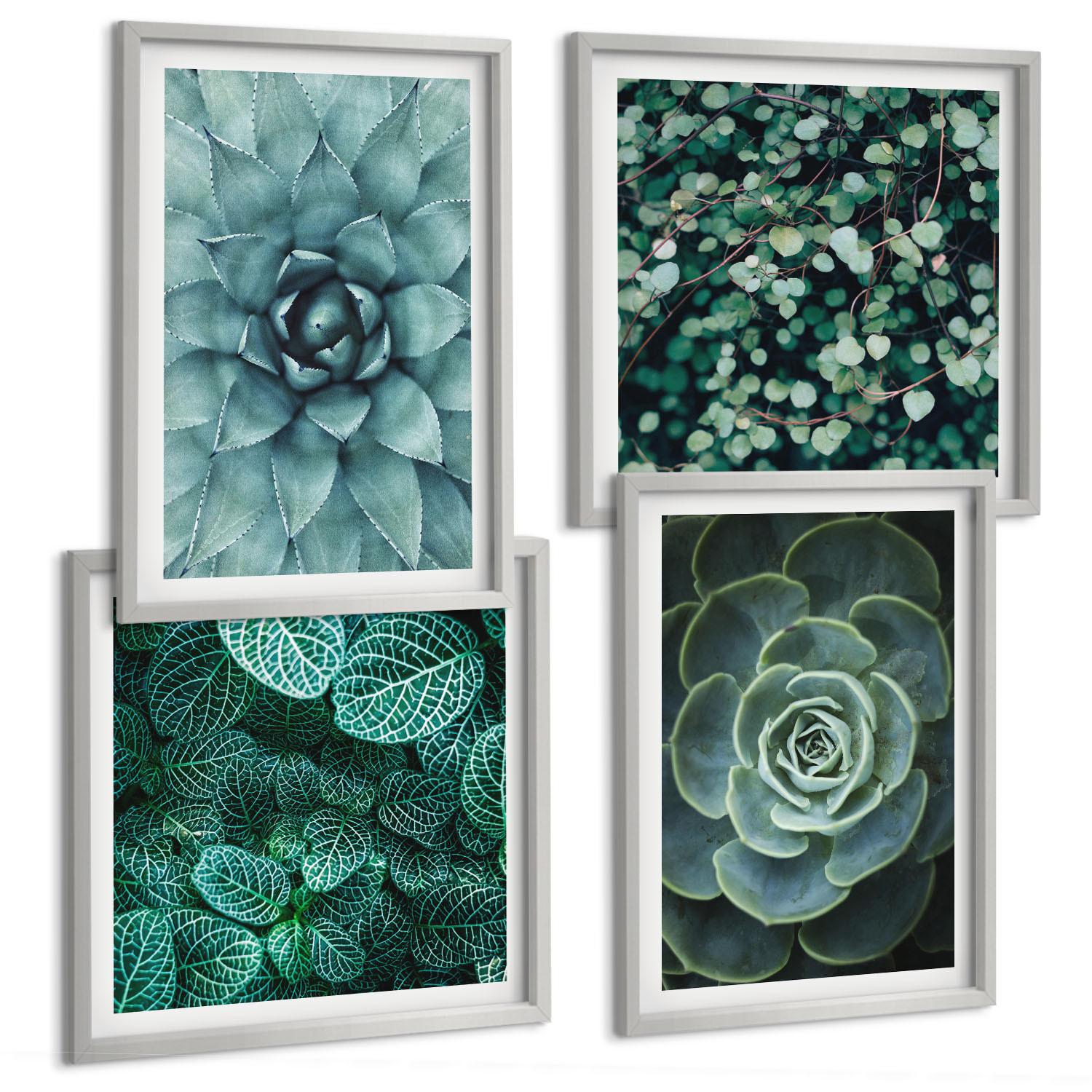 BILDER SET 4er Set - 50x50 cm & 40x60 cm Silberner Rahmen - Sukkulenten in Grün und Türkis - Silberfarben, Kunststoff (50/50cm) - TULUP