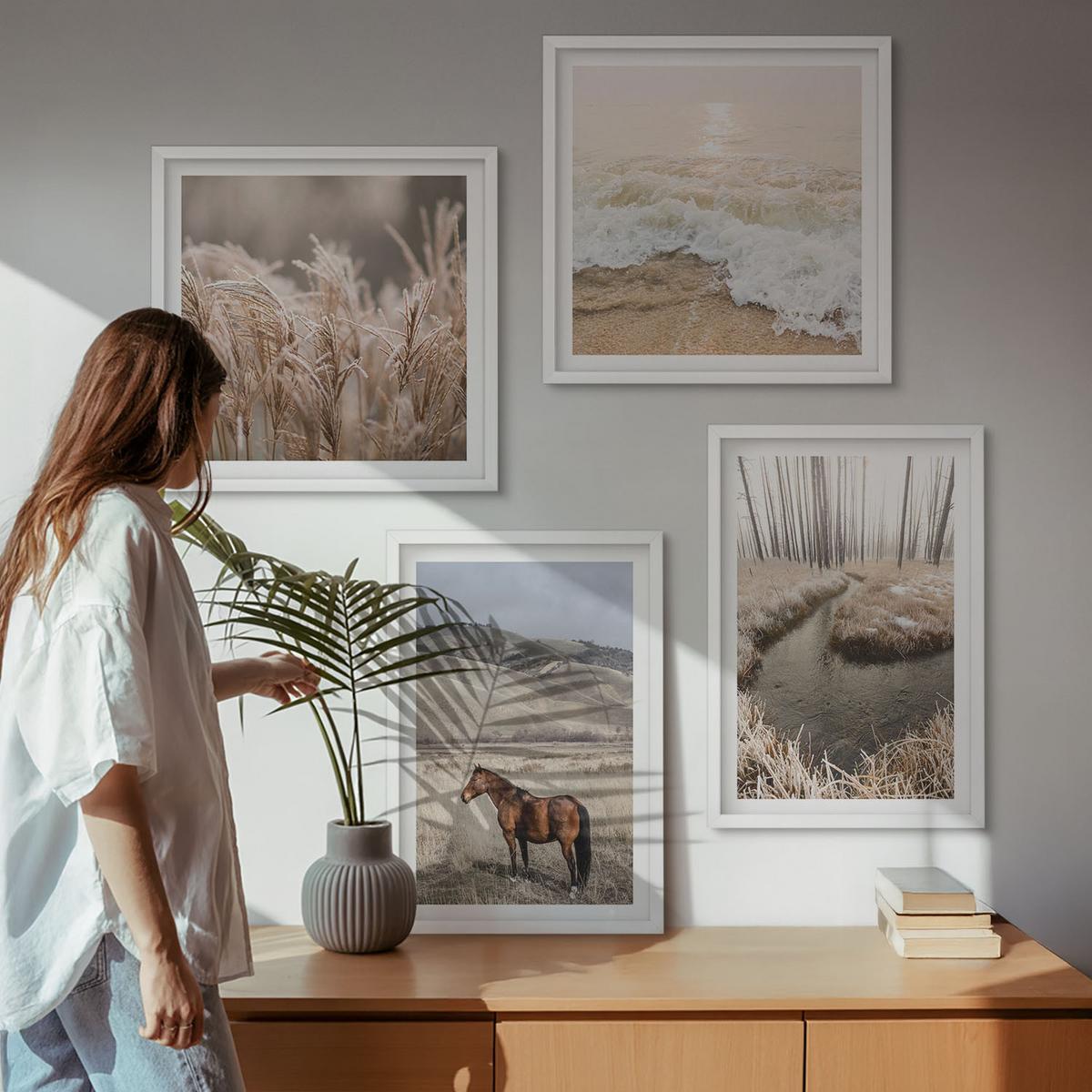 BILDER SET 4er Set - 50x50 cm & 40x60 cm Weißer Rahmen - Pferdelandschaft Seegraswald - Weiß, Kunststoff (50/50cm) - TULUP