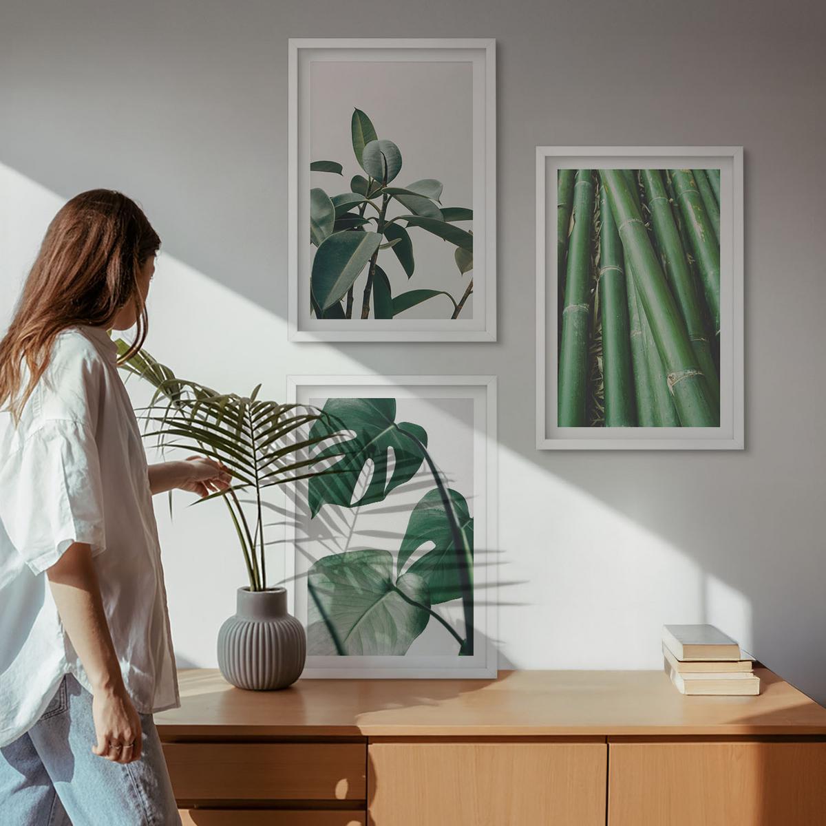BILDER SET 3er Set - 40x60 cm Weißer Rahmen - Bambusstängel und Monstera-Blätter - Weiß, Kunststoff (40/60cm) - TULUP