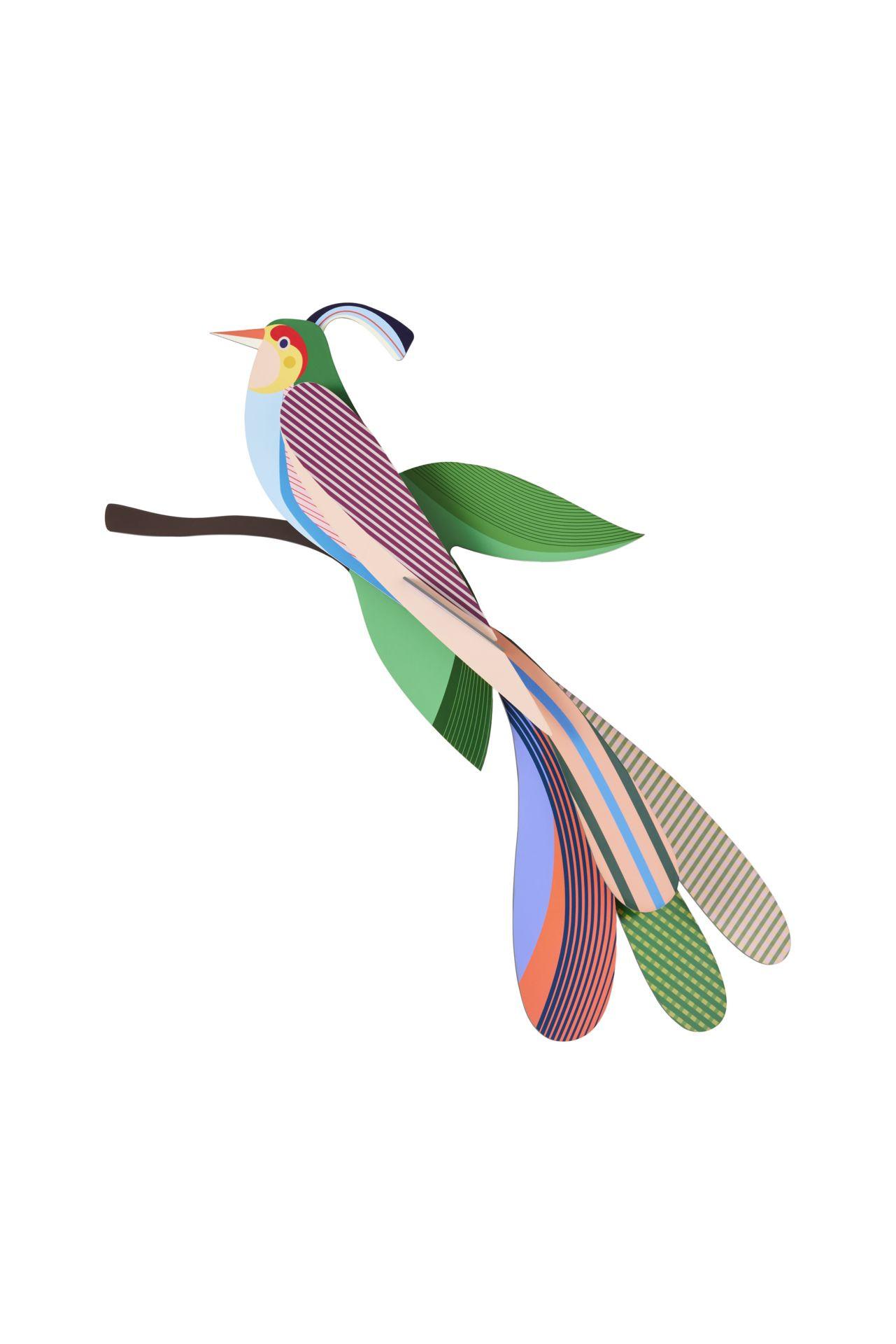 WANDDEKO Tropenvogel Maya 5.7/47.3 cm - Multicolor, Wellpappe (5.7/47.3/28cm) - Studio Roof