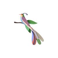 WANDDEKO Tropenvogel Maya 5.7/47.3 cm - Multicolor, Wellpappe (5.7/47.3/28cm) - Studio Roof