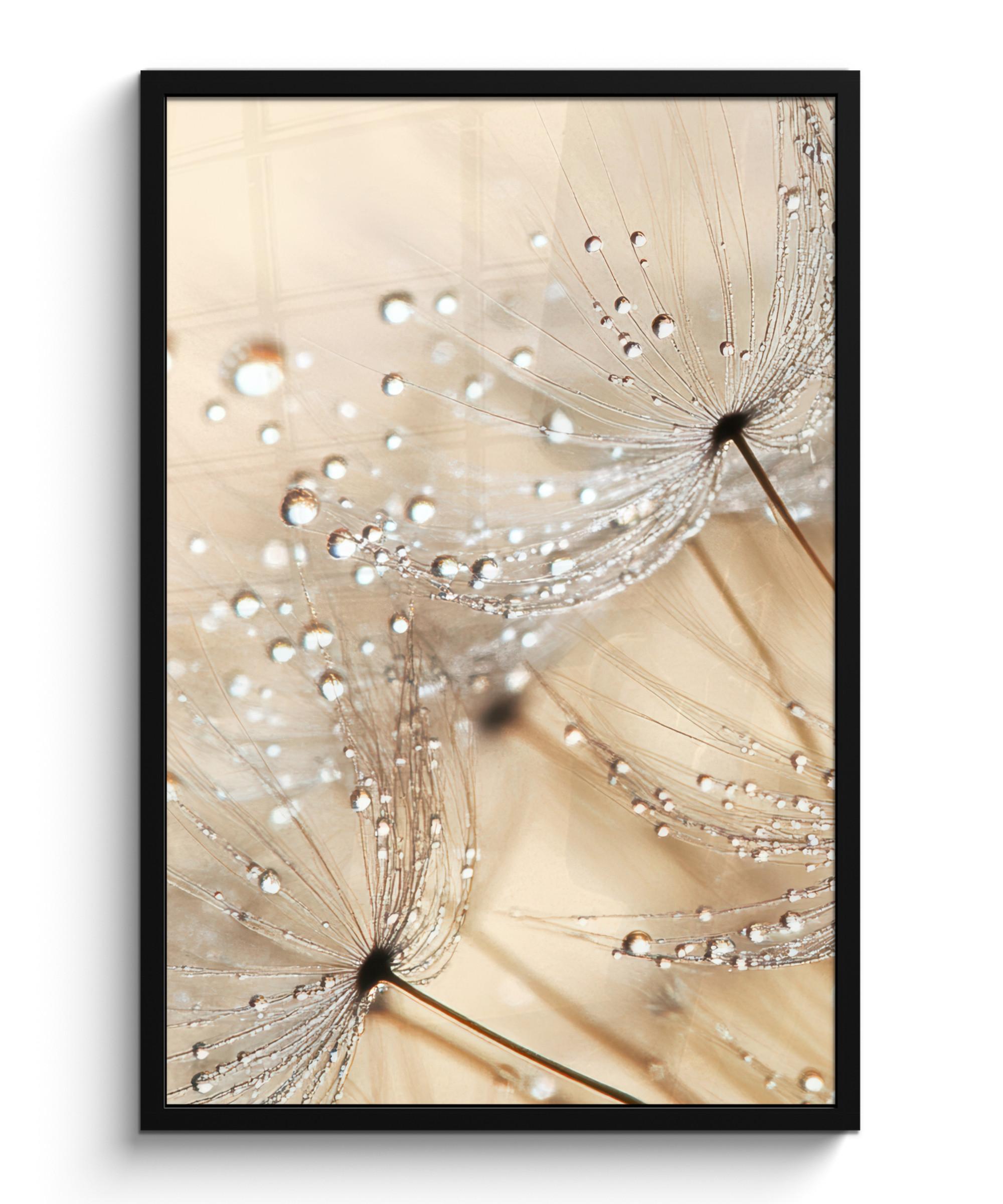 POSTER MIT RAHMENGERAHMTES BILD Löwenzahn - Abstrakt - Natur - Beige 60x90 cm - Braun, Papier (60/90cm) - MuchoWow