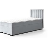 POLSTERBETT Eric 104/207/105 hellgrau - Hellgrau, Holzwerkstoff/Textil (100/200cm) - Beautysofa