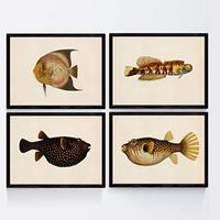 POSTER Set mit 4 bunten Fischen schwarz gelb TonEffekt mit Altpapier Hintergrund A4 Schwarzer Rahmen - Schwarz, Papier (29.7/3cm) - Nacnic