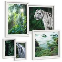BILDER SET 5er Set - 50x50 cm & 20x30 cm & 40x60 cm Weißer Rahmen - Blätter und Blüten in verschiedenen Farben - Weiß, Kunststoff (40/60cm) - TULUP