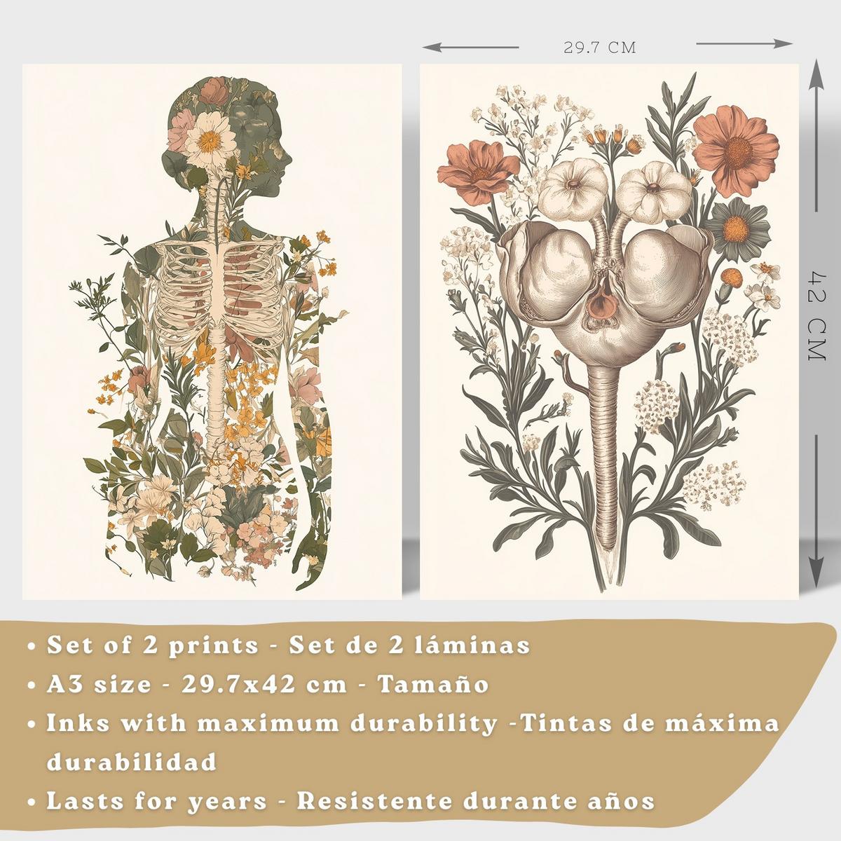 POSTER Set aus 2 Anatomie Mensch Drucke und mit Weiblicher Silhouette und Fortpflanzungssystem Botanischer Stil Größe Leichter Holzrahmen A3 - Beige, Papier (29.7/42/3cm) - Nacnic