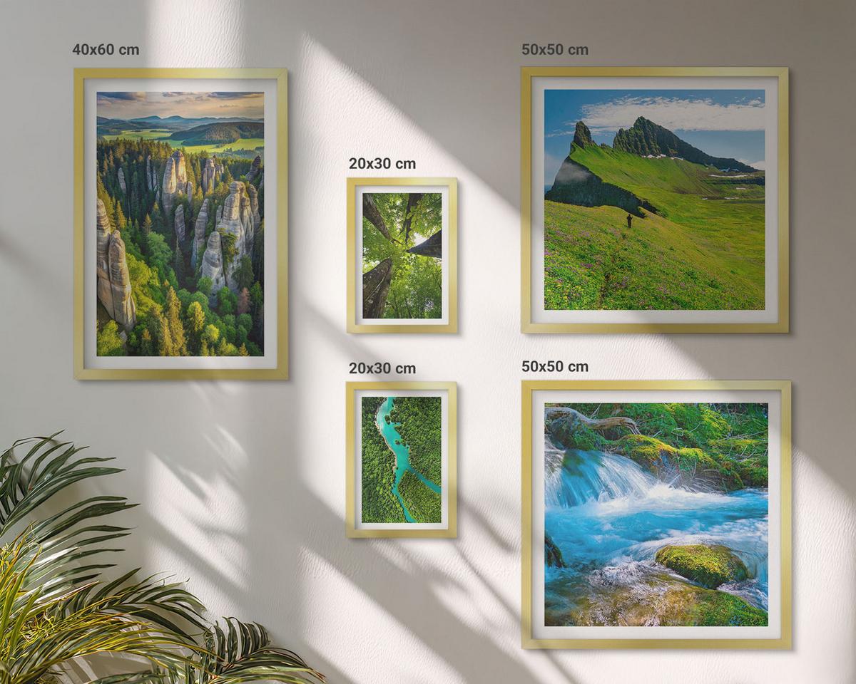 BILDER SET 5er Set - 50x50 cm & 20x30 cm & 40x60 cm Goldrahmen - Wasserfälle grüner Wald Wasser - Goldfarben, Kunststoff (40/60cm) - TULUP