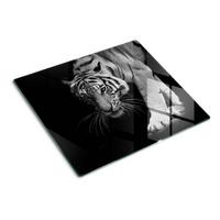GLASPLATTE 60x52 cm Tiger - Schwarz/Braun, Glas (60/0.4/52cm) - TULUP