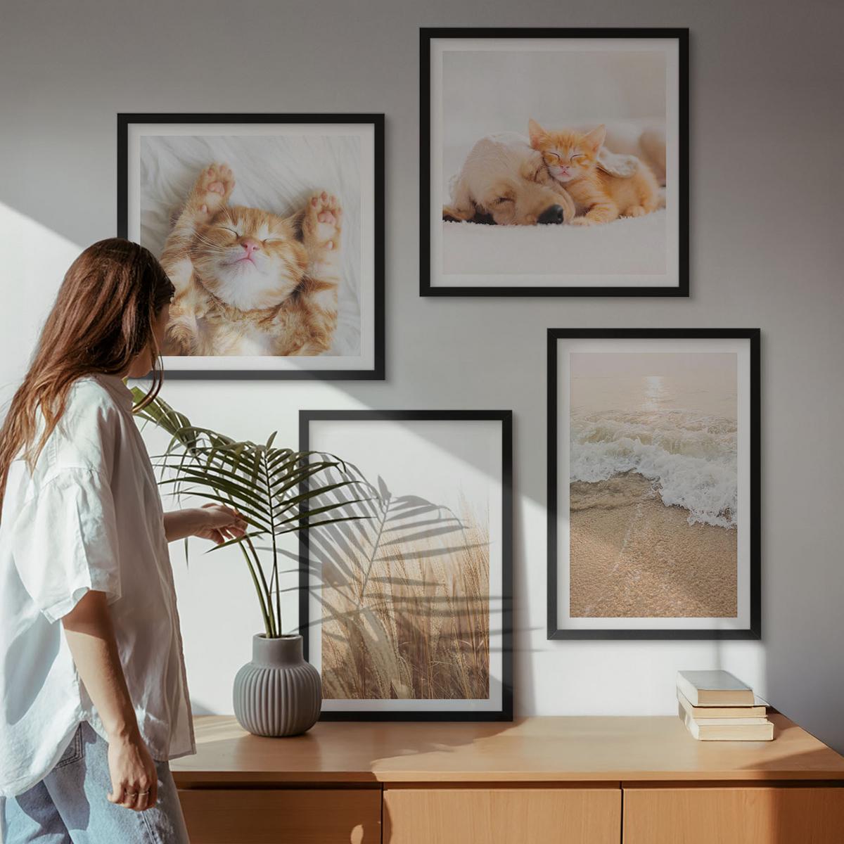 BILDER SET 4er Set - 50x50 cm & 40x60 cm Schwarzer Rahmen - Niedliche Tiere, Katzen, Hunde, Strand - Schwarz, Kunststoff (50/50cm) - TULUP
