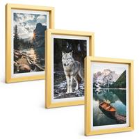BILDER SET 3er Set - 20x30 cm Goldrahmen - Berge, Seen, Wölfe, Natur - Goldfarben, Kunststoff (20/30cm) - TULUP
