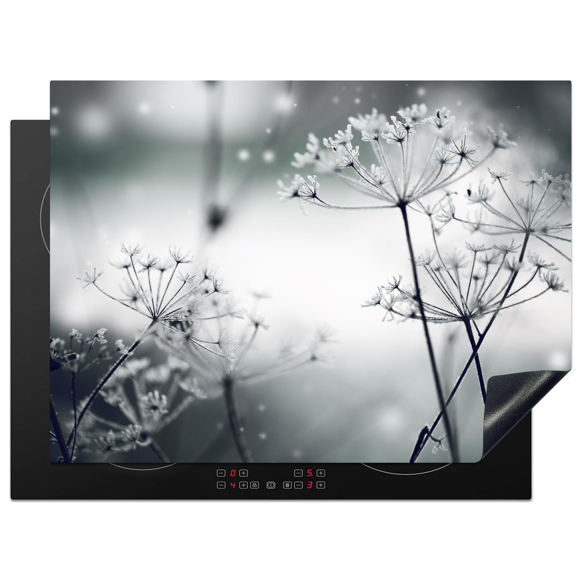 HERDABDECKPLATTE Blumen - Winter - Schnee - Natur Induktionsmatte 71x52 cm - Grau, Kunststoff (71/52/0.2cm) - MuchoWow