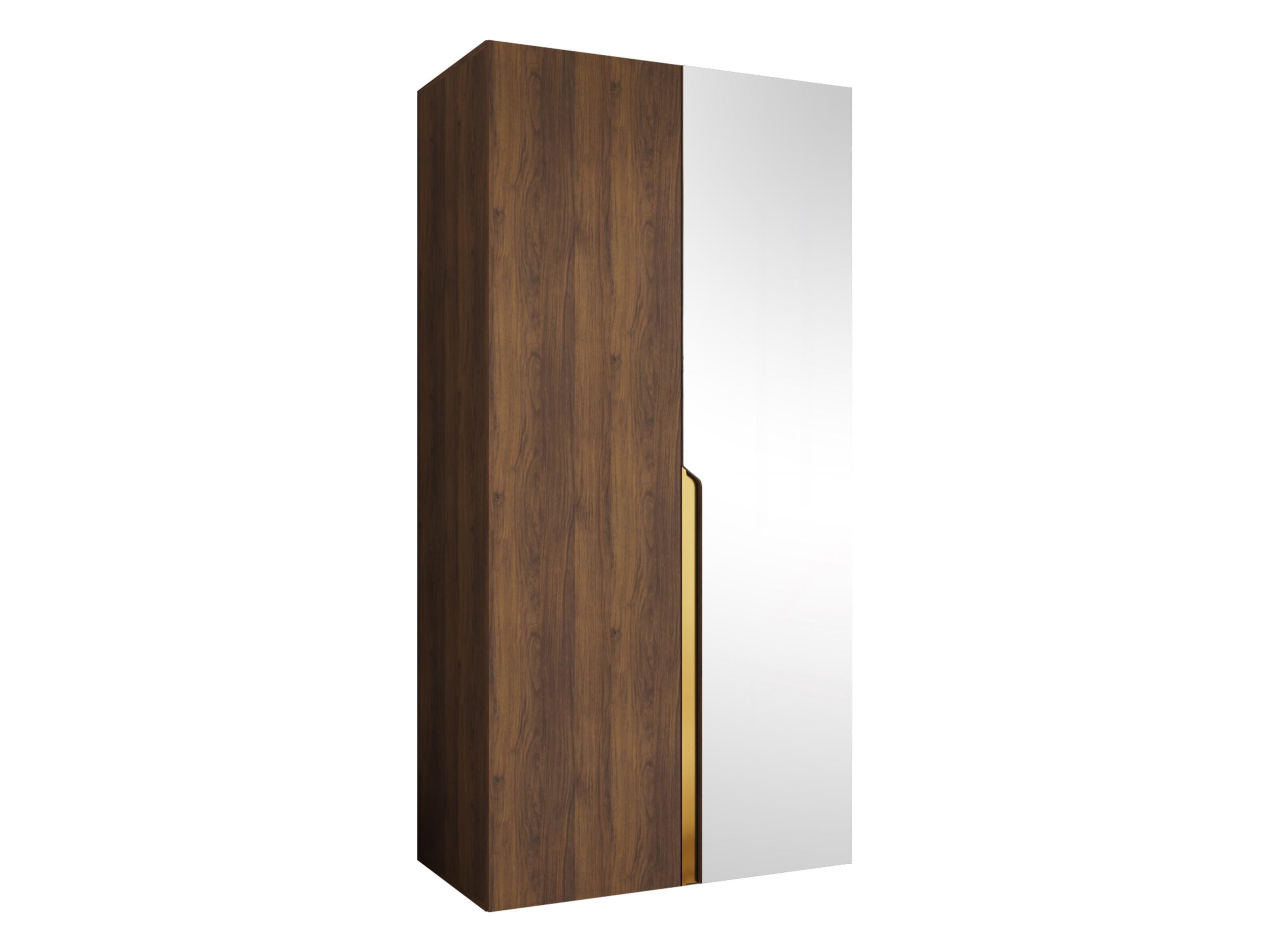 DREHTÜRENSCHRANK Mila II 100 - Goldfarben/Nussbaumfarben, Holzwerkstoff/Kunststoff (100/202/52cm) - MIRJAN24