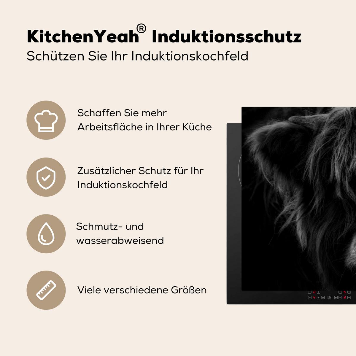 HERDABDECKPLATTE Schottischer Highlander - Kuh - Schwarz - Weiß - Tiere Induktionsmatte 77x51 cm - Schwarz, Kunststoff (77/51/0.2cm) - MuchoWow