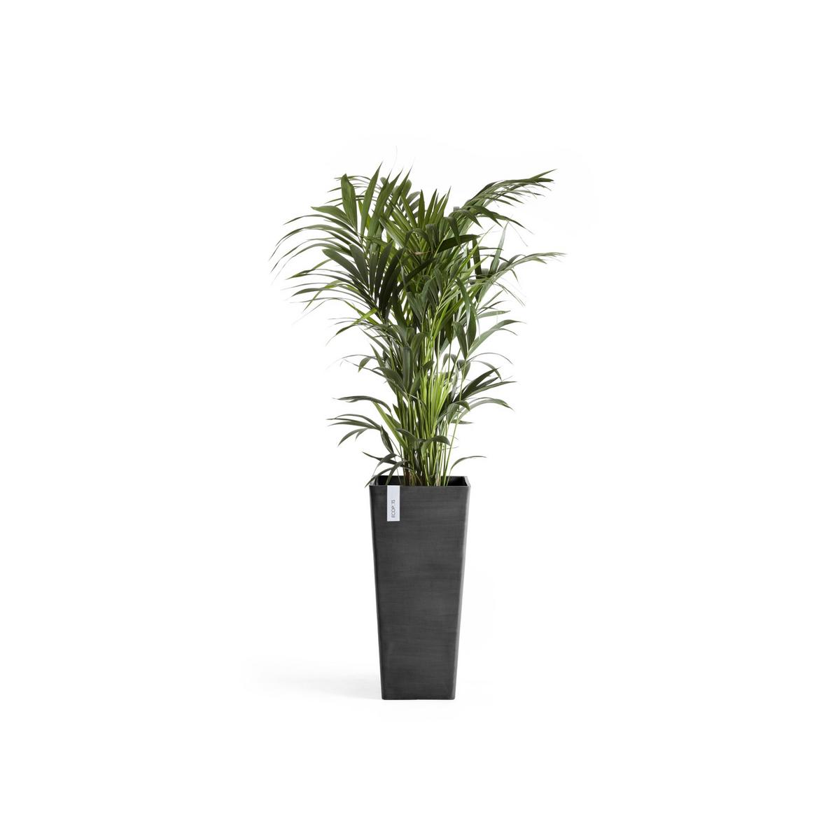 BLUMENTOPF Rotterdam High 32,7/32,7/70,5 cm Dunkelgrau - Dunkelgrau, Kunststoff (32.7/70.5cm) - Ecopots