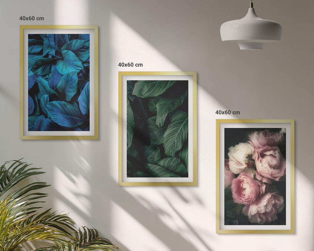 BILDER SET 3er Set - 40x60 cm Goldrahmen - Blätter, Blüten, verschiedene Farben - Goldfarben, Kunststoff (40/60cm) - TULUP