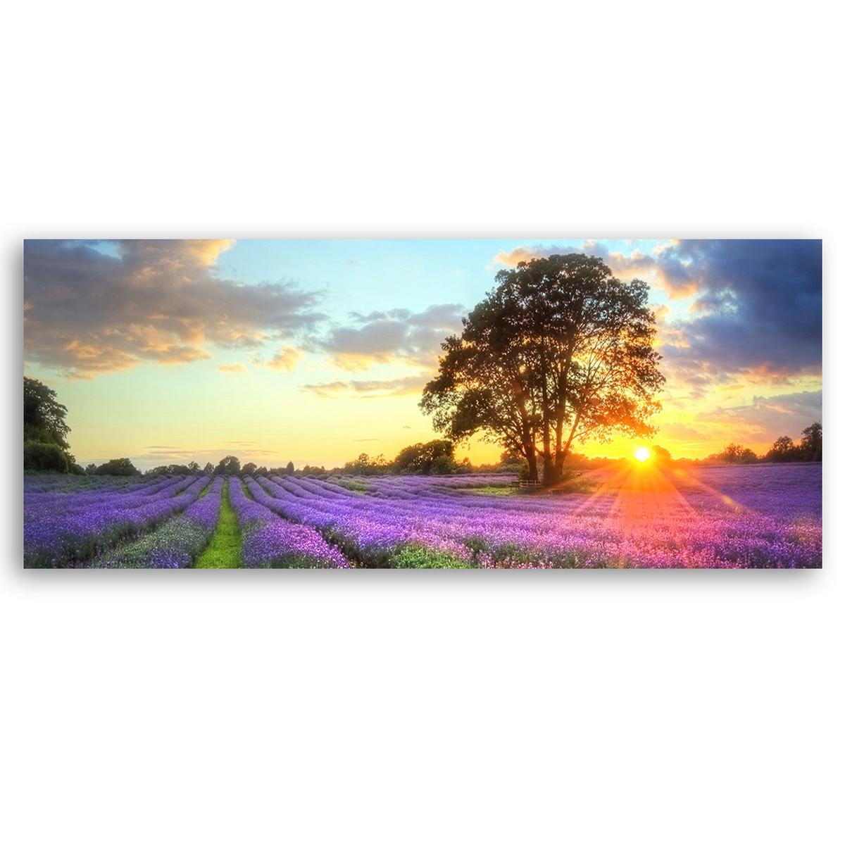 WANDBILD baum in einem lavendelfeld - Lila, Textil (90/30cm) - Feeby