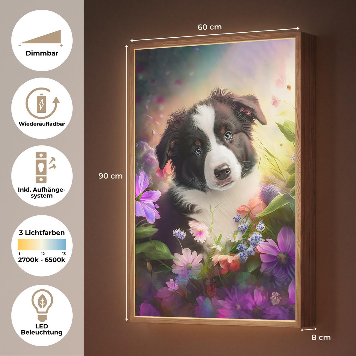 WANDLEUCHTE MIT AKKU Welpe - Sonne - Blumen - Natur - Border Collie - Hund 60x90 cm - Violett, Holzwerkstoff (60/90/8cm) - OnlyWow