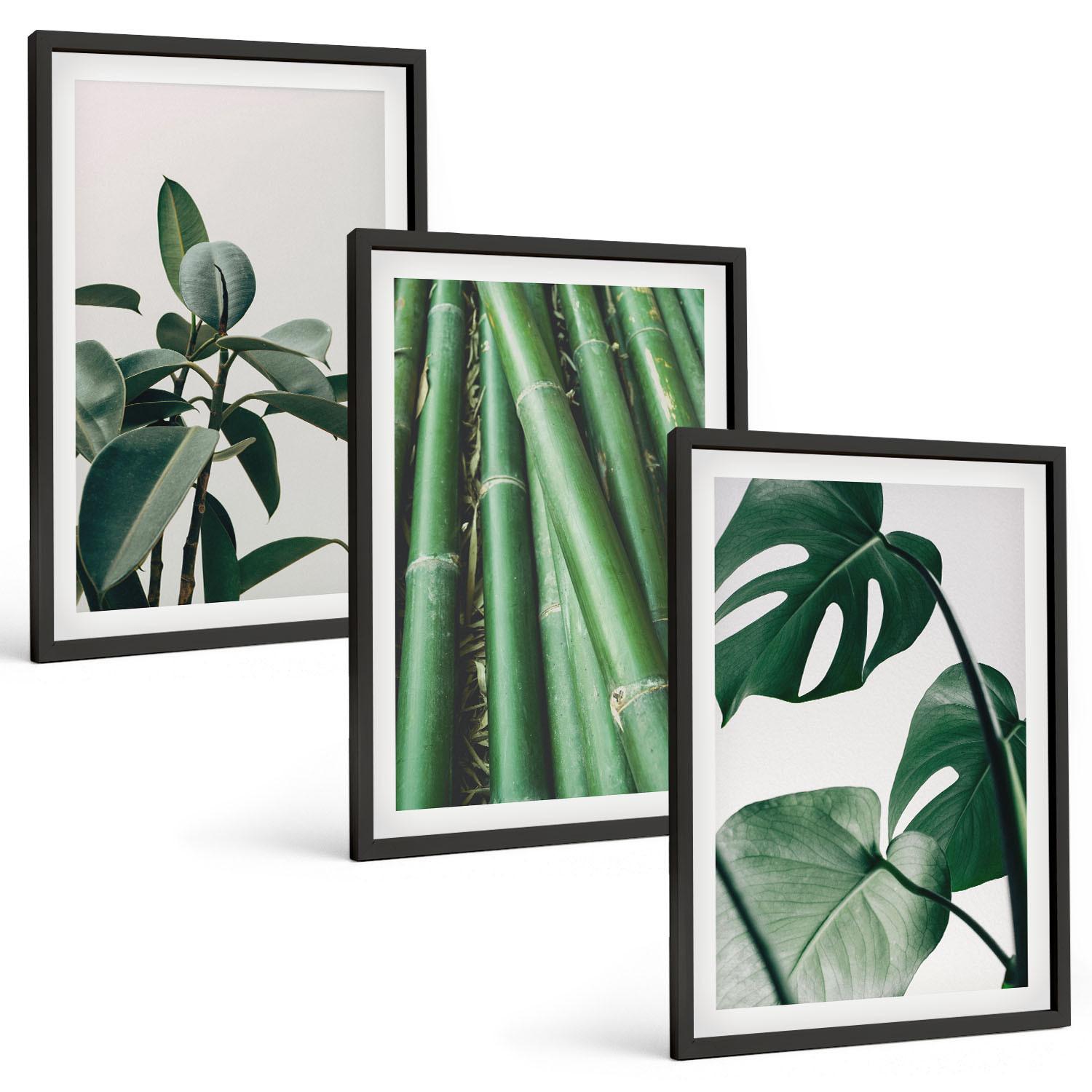 BILDER SET 3er Set - 40x60 cm Schwarzer Rahmen - Bambusstängel und Monstera-Blätter - Schwarz, Kunststoff (40/60cm) - TULUP